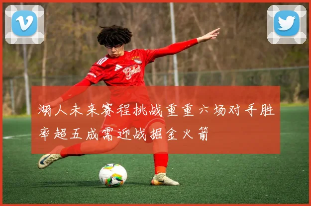 湖人未来赛程挑战重重六场对手胜率超五成需迎战掘金火箭