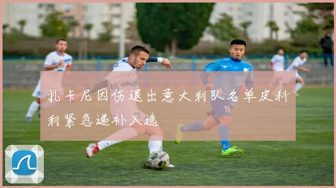 扎卡尼因伤退出意大利队名单皮科利紧急递补入选